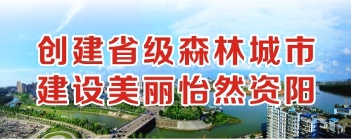 草屄视频在线观看创建省级森林城市 建设美丽怡然资阳