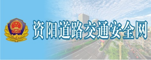 看擦逼资阳道路交通安全网